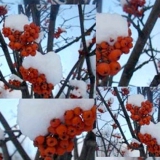 Зменшуємо фотографії онлайн