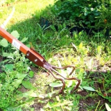 Як обробити землю від бур'янів: підготовка грунту