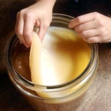Як приготувати чайний гриб?