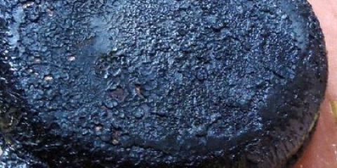 Як почистити сковороду від нагару: практичні рекомендації