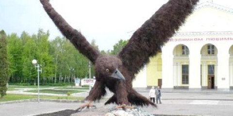 Як подзвонити в Орел з іншого міста?
