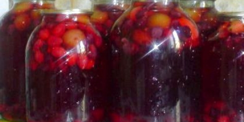 Як варити компот зі слив на зиму: збережемо все корисне