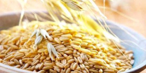 Як варити овес для лікування цукрового діабету?