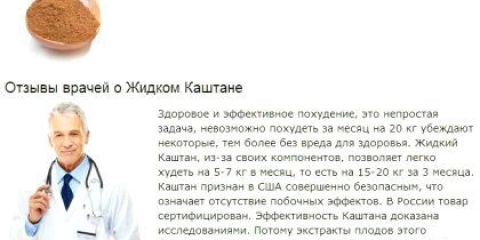 Рідкий каштан: інструкція від лікарів