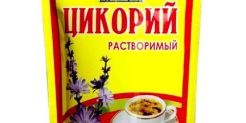 Як цикорій впливає на організм?