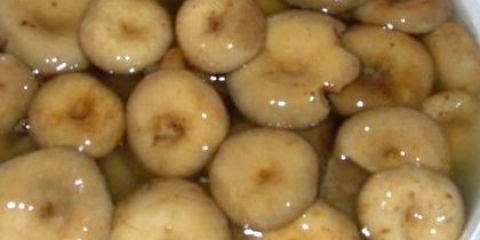 Як маринувати білі грузді?