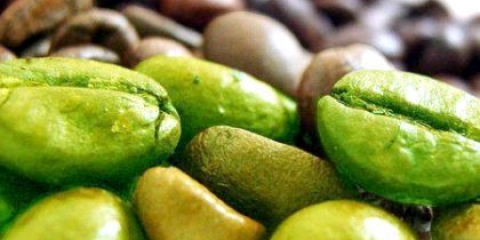 Купити зелена кава для схуднення і позбутися целюліту назавжди!
